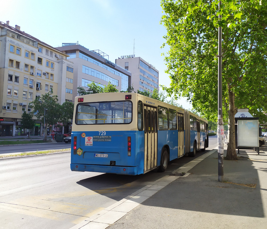 Neobus #729(3)