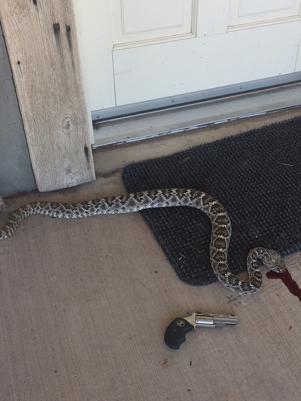 5502D827-623D-4303-A97E-48E1314345A6