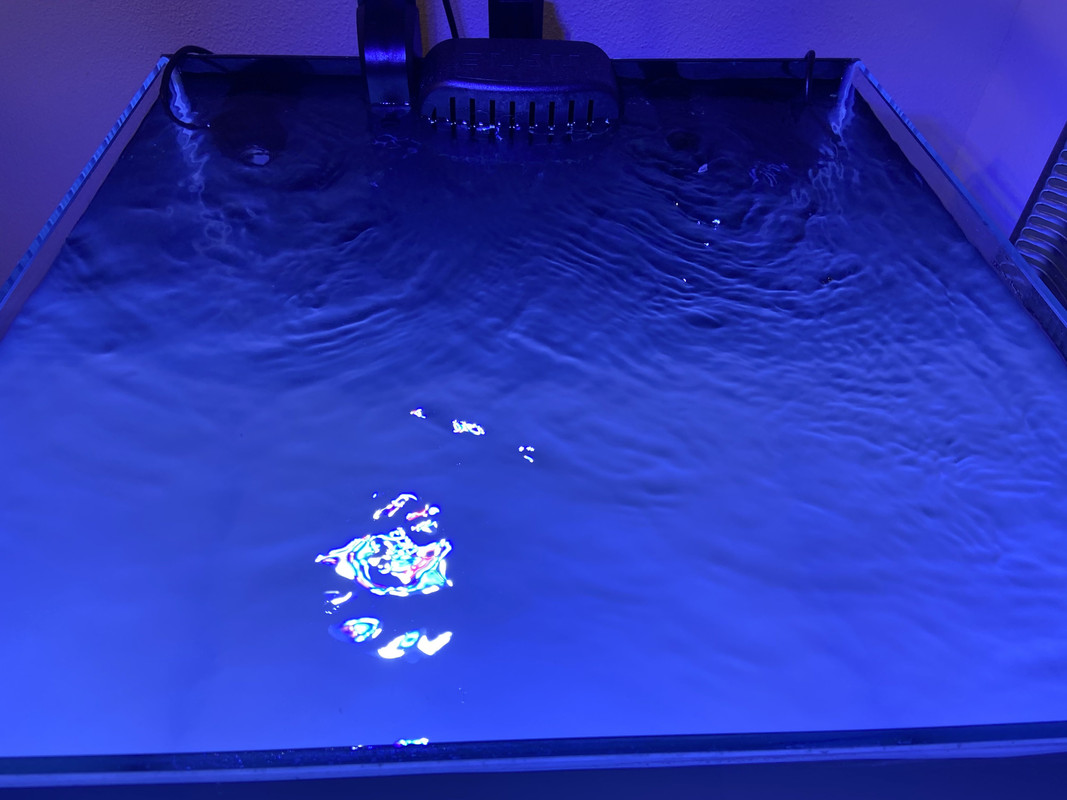 5E005921-E7C5-4BA5-A79B-D2CC86EB2592