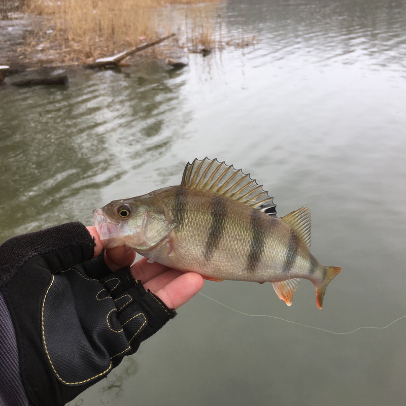 1A2031E8-4BD2-4F5B-B791-ADFB6A22E18F