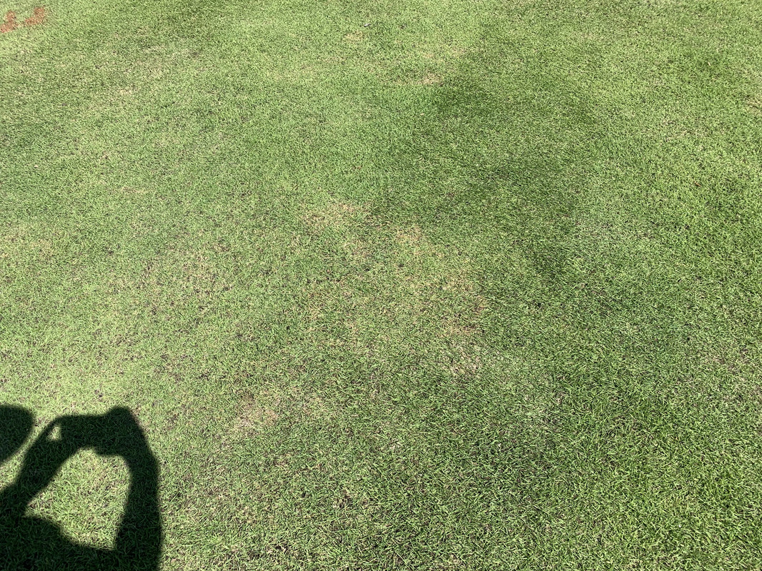 82AF5A95-5616-46C8-81F2-06F68979BEA3