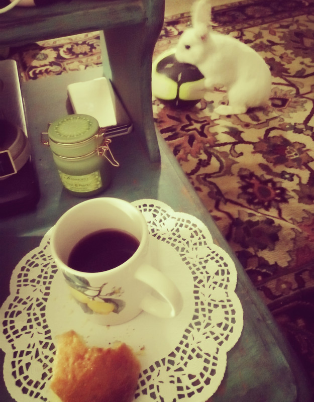 IMG_٢٠٢١٠٦٠٨_٠٤٤٠٥١