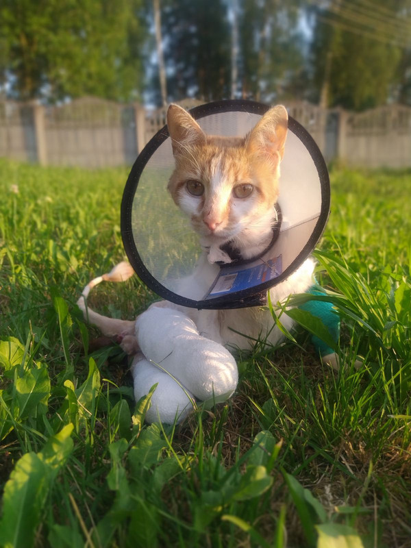 изображение_viber_2022-07-02_21-41-56-312