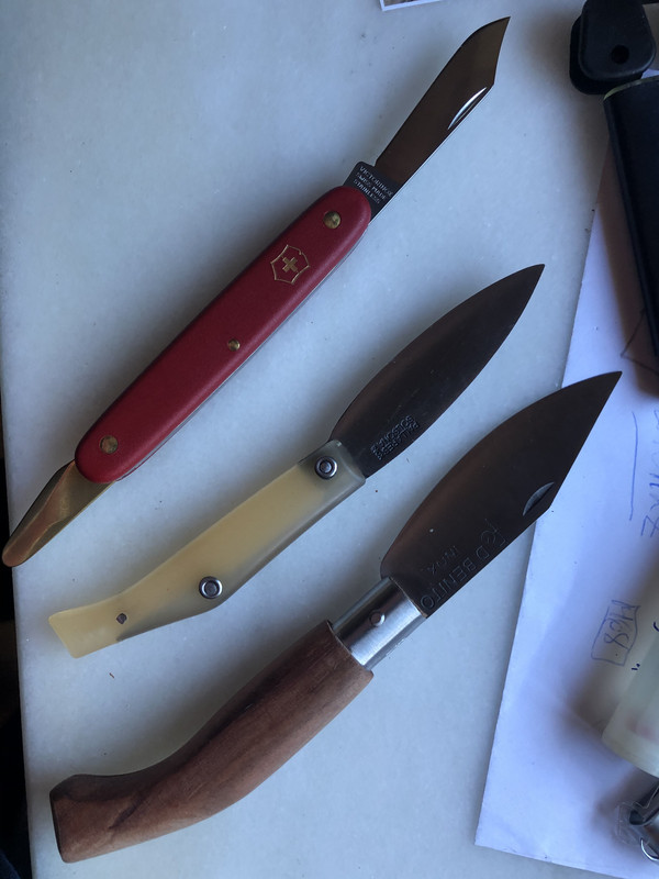 E12E0DA9-603E-40C5-BF6C-7DE76078F40C