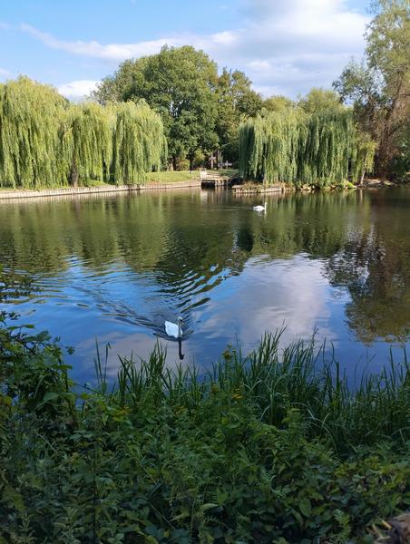 Ruta de cuento en familia: conociendo The Cotswolds - Blogs de Reino Unido - Día 2: British Motor Museum y Stratford-Upon-Avon (10)