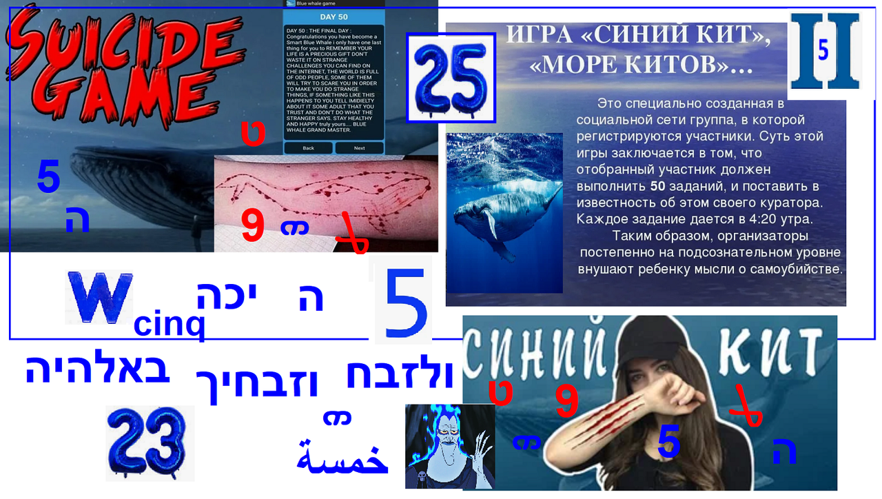 https://i.postimg.cc/PrnnvqNs/1537.png