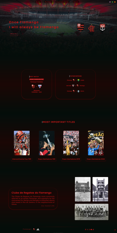 flamengo-concept-website-full