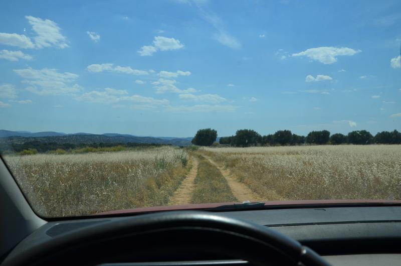 EXTREMADURA Y SUS PUEBLOS -2010-2023 - Blogs of Spain - EMBALSE DE VALDECAÑAS-2019/2023 (2)