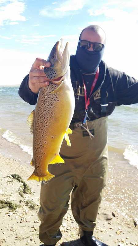 278603D2-70CE-4F1D-8EAD-180947CC1527