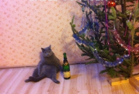 post 3 13581823364329