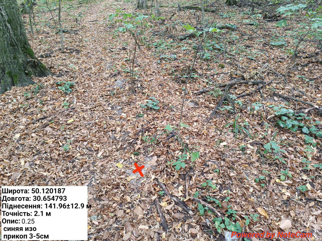 photo_30_2025-10-01_20-53-16