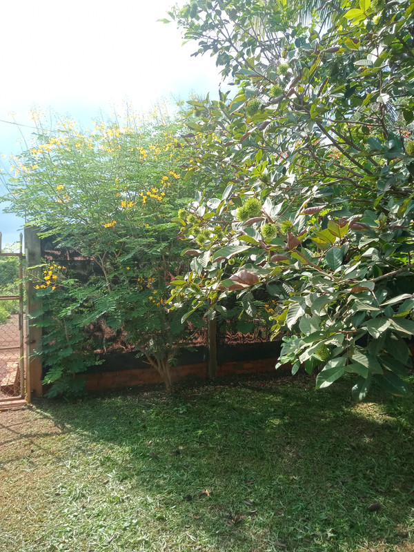 IMG20260612144513