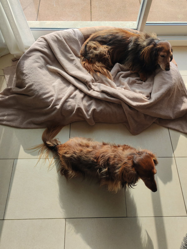 [Image: IMG-20250301-104847.jpg]