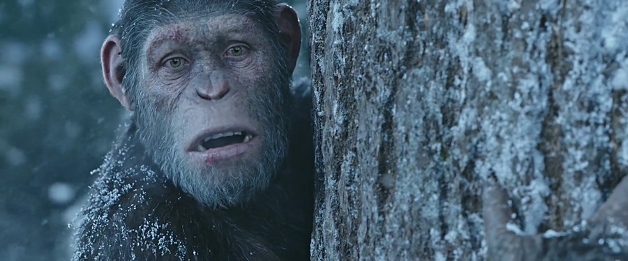 Download War for the Planet of the Apes (2017) BluRay [Hindi + Tamil + Telugu + English] ESub 480p 720p 1080p