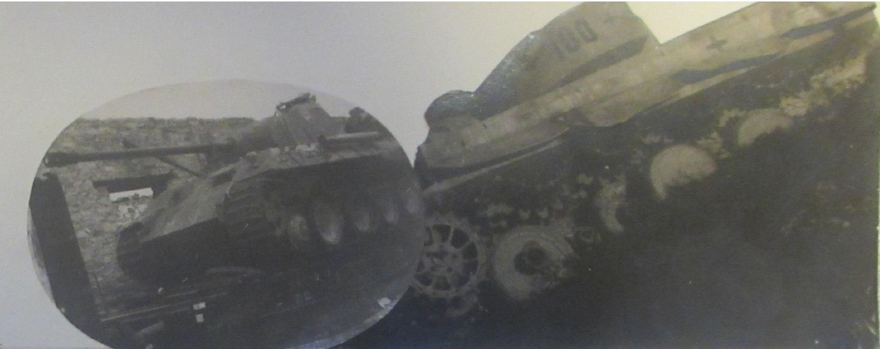 нем тигр 100 30042017