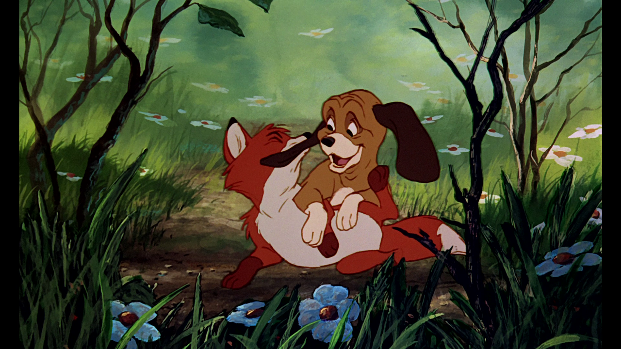 vlcsnap-2023-12-31-11h42m43s599