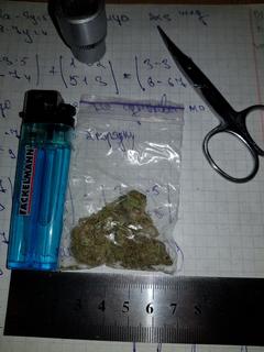 7B6684E1-A609-4230-BBD2-FEA8D0168411