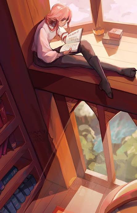 Technoblade sitting on a loft in a library reading 