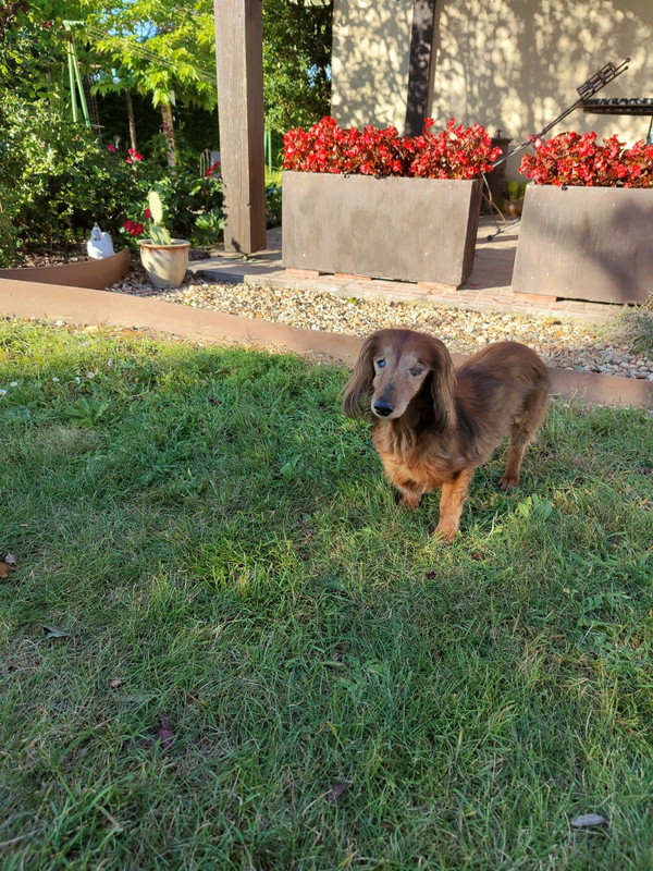 [Image: IMG-20241108-191916.jpg]