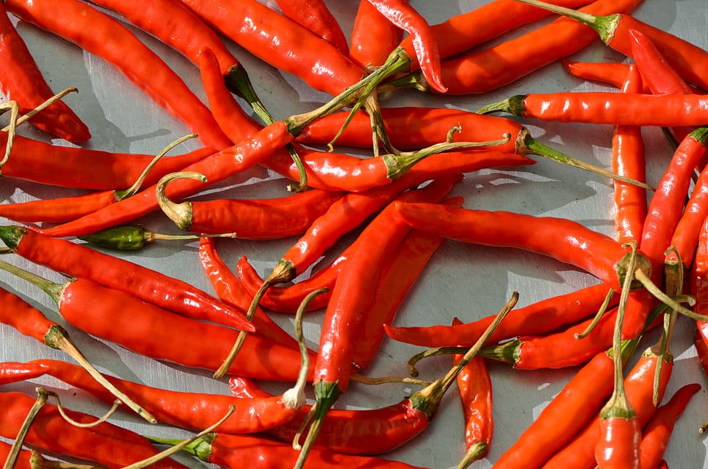 chili-pepper-spray.jpg