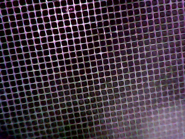 2026 05 01 003256