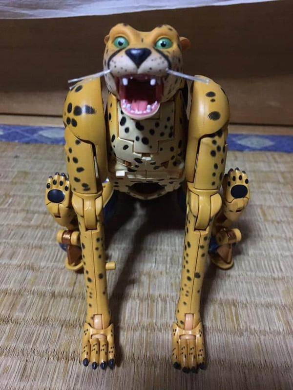 16864217_413135332370233_575580150246136812_n