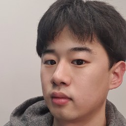 조남진