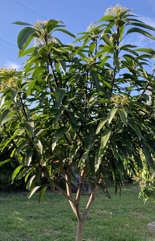 029CEA0C-BBC8-4B32-B089-EB263BF87A6B