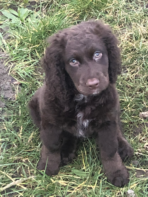 A94CCC18-528D-4A1B-834B-70AD505243E6