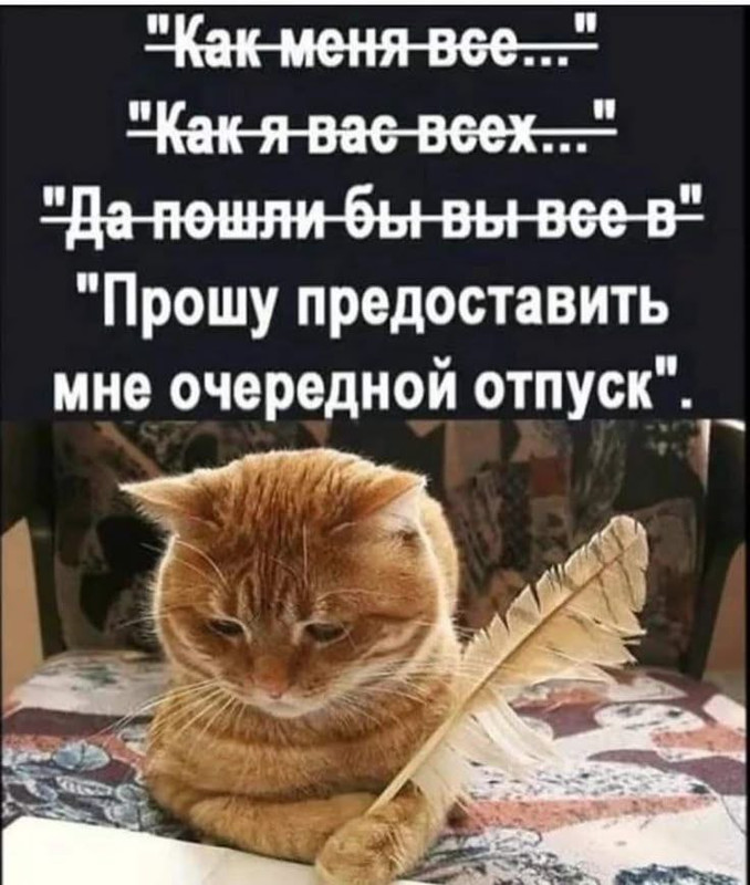 [Изображение: photo-2025-11-28-14-55-38.jpg]