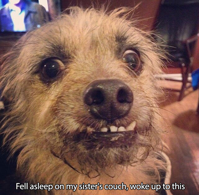 smile-pictures-14