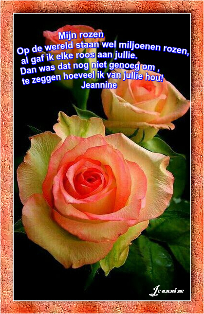 MIJN-ROZEN