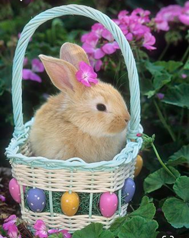 Screenshot_20230416_004949_Pinterest