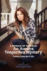 I Misteri Di Aurora Teagarden - Un Fagottino Di Guai (2017) WebDL 1080p E-AC3 ITA