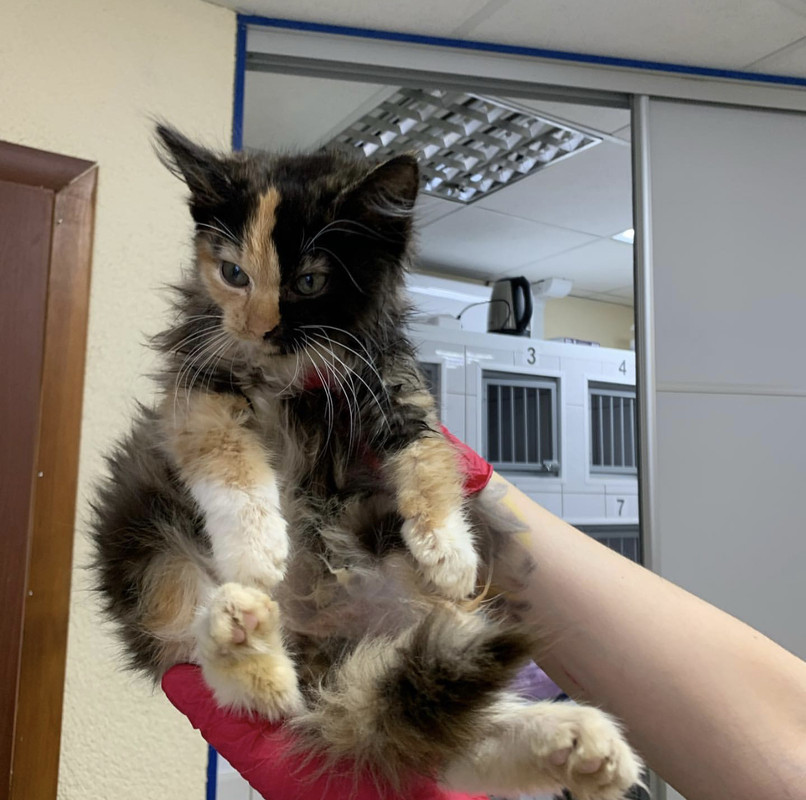 CBC5E51A-7426-483A-8A2D-6AB5732142EE