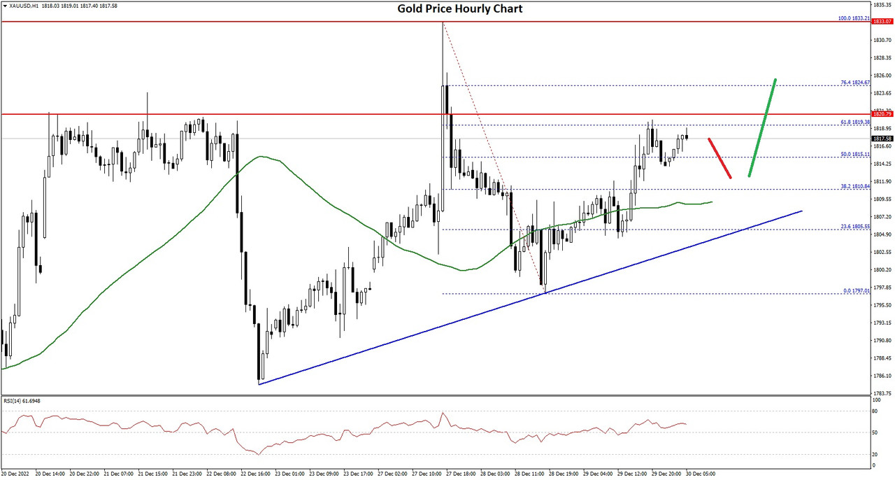 Daily Market Analysis By FXOpen in Fundamental_goldx