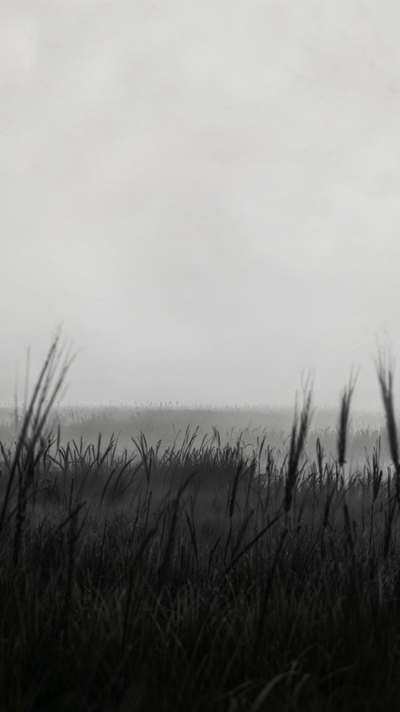 20260128211557 8727971