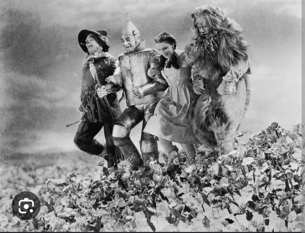 Screenshot_20240215_231452_Chrome