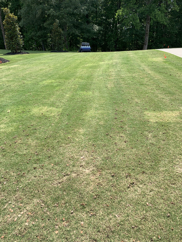 B0EBB26D-5025-426A-9301-F1B9D1C9B8AD