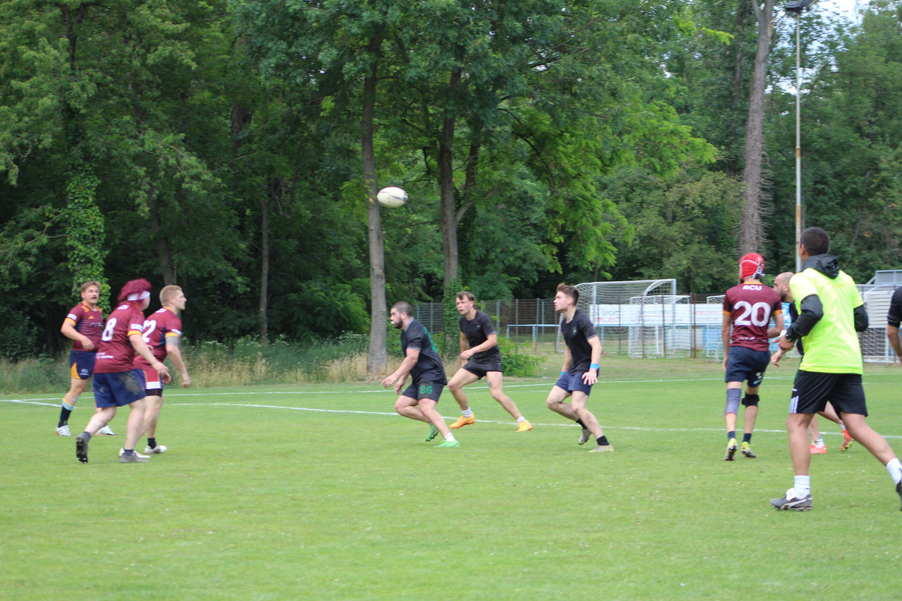 IMG 7865