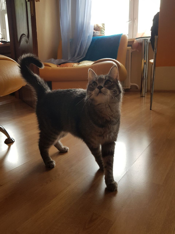 E71784A1-9216-49F9-9F84-9314F34140A2