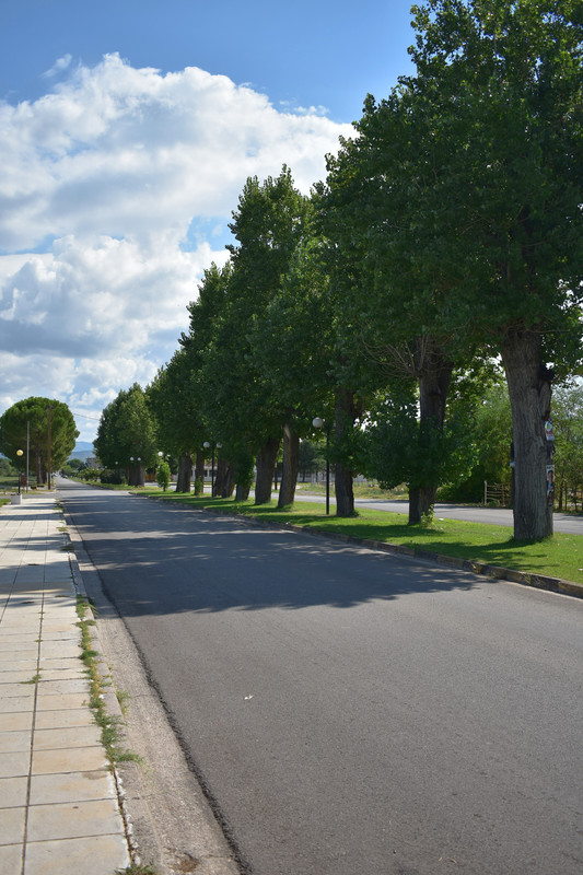 Αλίαρτος (25)