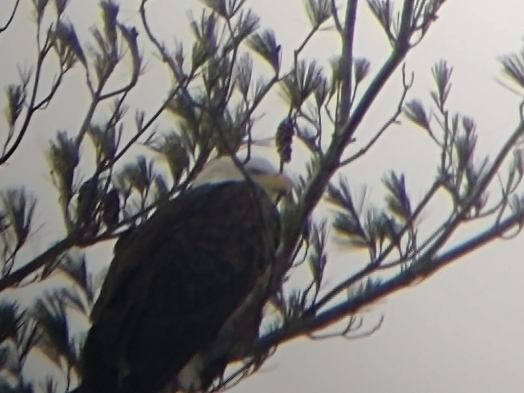 IMG_20210103_093738550