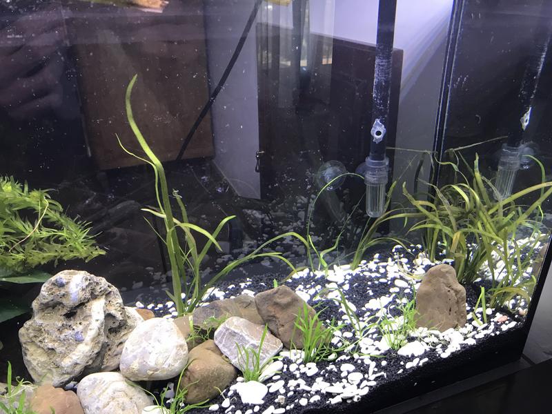 E046E282-D66C-4D66-9EB3-DBF5CA3B12E0