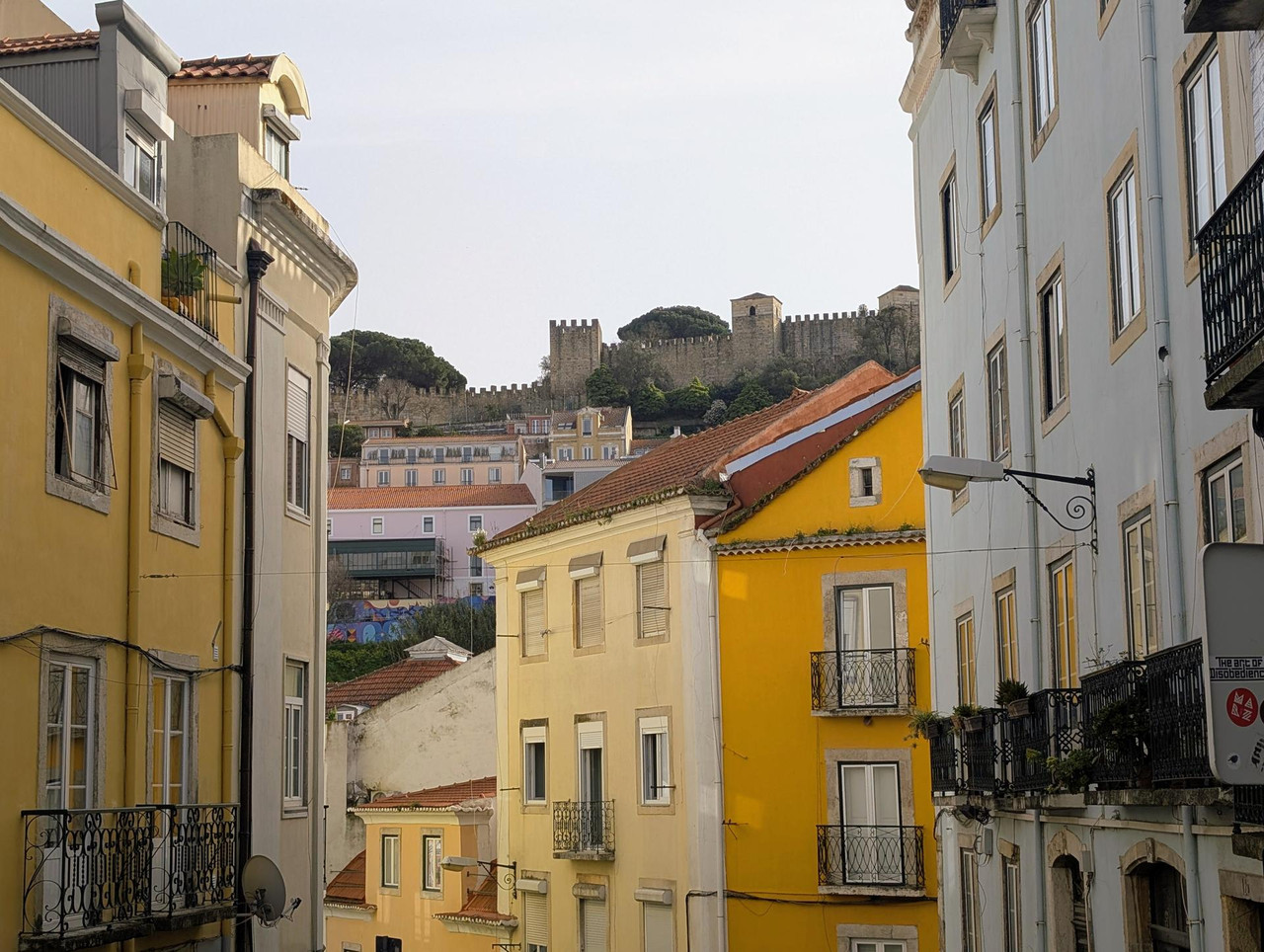 PXL 20260303 160942899 MP 2