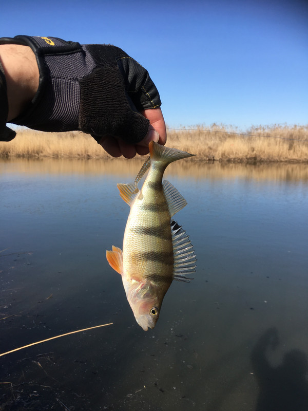 FFAD8A3A-2358-4CEF-B9BE-8066168A2E01