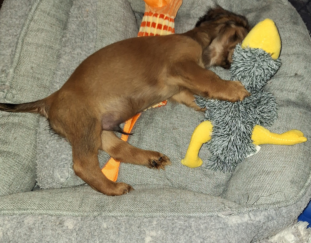 [Image: 20240906-184733.jpg]