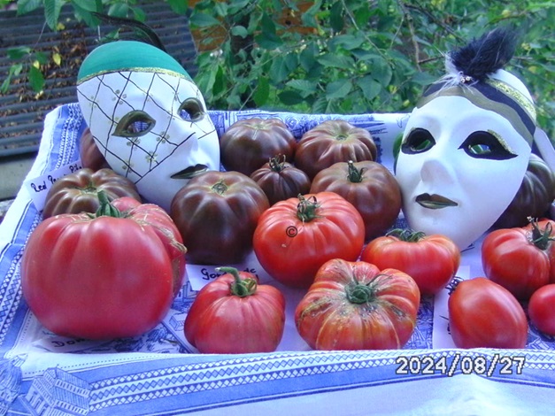 [Bild: BILD0370.jpg]