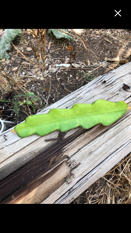 62A73161-4A43-4A58-8907-5FBDC57FD9DB