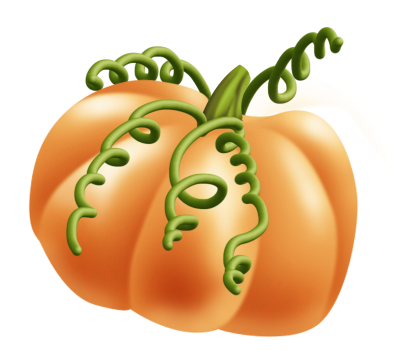 Halloweenpumpkinkitpudnhalloweenss